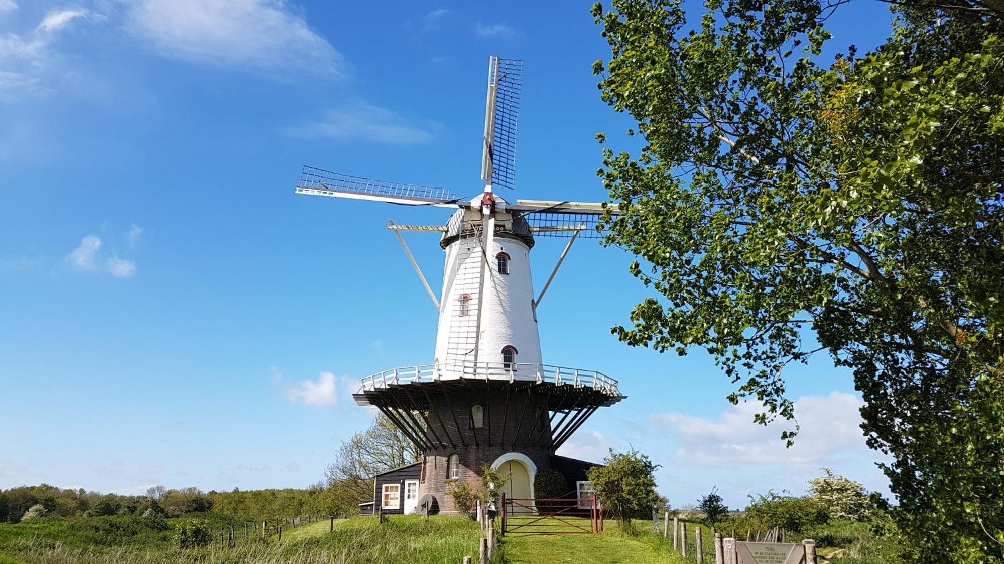 Olmenduin Chalet Veere Zeeland Serooskerke  Eksteriør billede